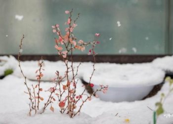 How Can We Live Without Suffering?