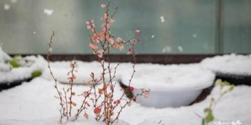 How Can We Live Without Suffering?