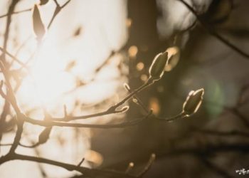 I Wanted to Take Revenge on My Mother Through My Death