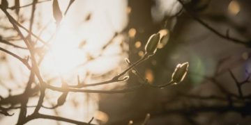 I Wanted to Take Revenge on My Mother Through My Death