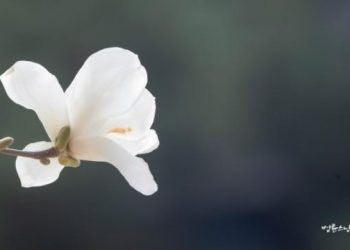 President’s Impeachment Should Not Be Repeated