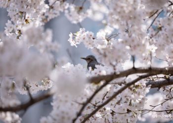 My Husband Gives Too Much Financial Support to His Parents, and It Upsets Me