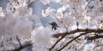 My Husband Gives Too Much Financial Support to His Parents, and It Upsets Me