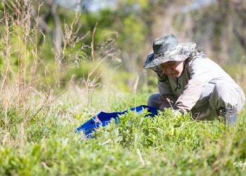 I Make Many Attempts But Don’t Follow Through, What’s the Problem?