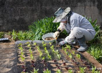 How can I overcome the suffering of losing someone I love?