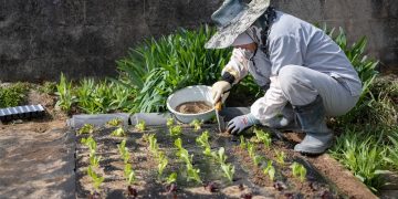 How can I overcome the suffering of losing someone I love?