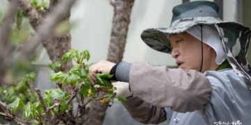 I’m a divorced father who fell in love with a woman who is living with another man