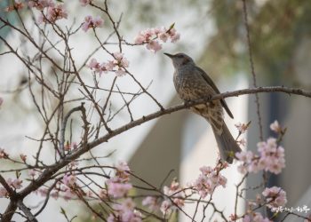 Mother-in-Law’s Nagging Is Making Me Miserable