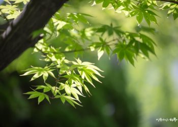 Can You Really Live Happily Without Money?