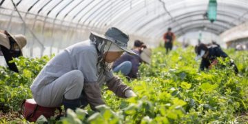 Will Switching from an Unstable Job to Farming Help Reduce My Anxiety?