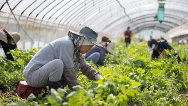 Will Switching from an Unstable Job to Farming Help Reduce My Anxiety?