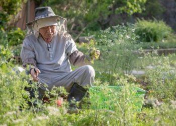 Why Does My Heart Still Suffer Even Though My Mind Understands the Logic?