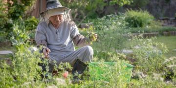 Why Does My Heart Still Suffer Even Though My Mind Understands the Logic?