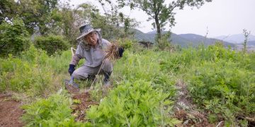 How can I avoid being hurt by others’ words?