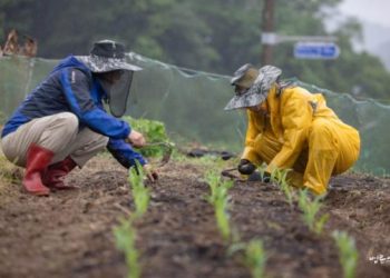 How Can I Change My Overthinking and Persistent Personality to Be More Straightforward?