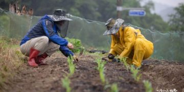 How Can I Change My Overthinking and Persistent Personality to Be More Straightforward?