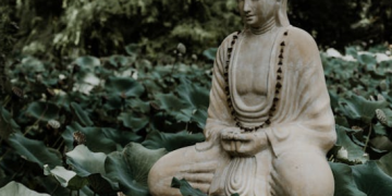[Meditation Q&A] Did the Buddha attain enlightenment by focusing on his breath?