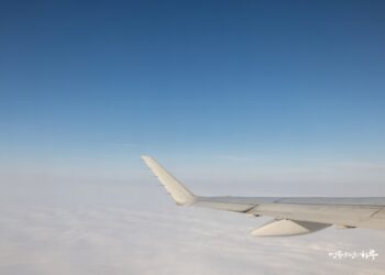 My Wife Is Suffering from Hallucinations. What Can I Do?