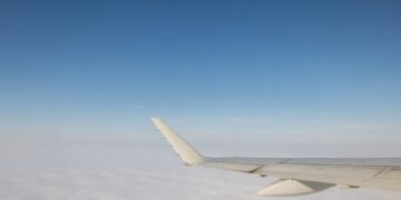 My Wife Is Suffering from Hallucinations. What Can I Do?