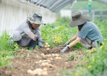 How Can I Release the Anger I’ve Suppressed Since Childhood?