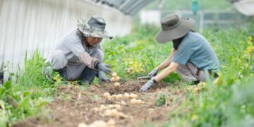 How Can I Release the Anger I’ve Suppressed Since Childhood?