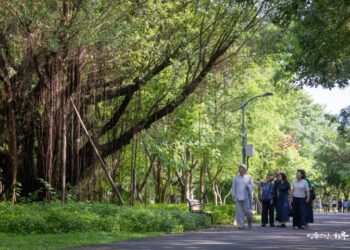 Do You Have a Special Secret for Finding Happiness in Daily Life?