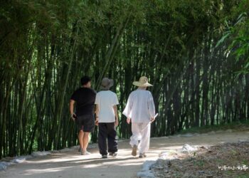 Can I Have Both Childcare and Career?