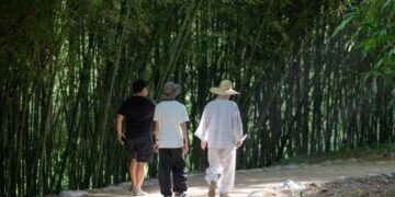 Can I Have Both Childcare and Career?