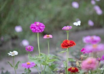 How Can I Get Along Better with My Daughter When We Keep Clashing?