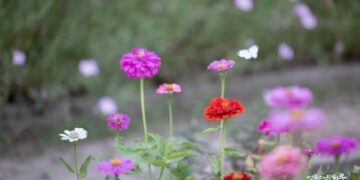 How Can I Get Along Better with My Daughter When We Keep Clashing?