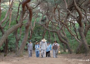 My Parents Are Against My Marriage Because of Fortune-Telling