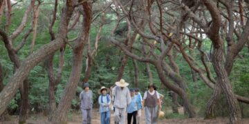 My Parents Are Against My Marriage Because of Fortune-Telling