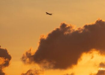 How Can I Free Myself from Smartphone Addiction and Stress?