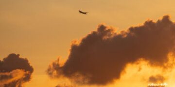 How Can I Free Myself from Smartphone Addiction and Stress?