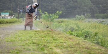 My Husband who Saved the Children and Went to Heaven – How Should I Live Now?