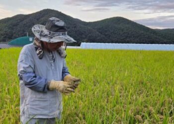 Will Human Value Disappear When Artificial Intelligence Surpasses Humans?