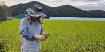 Will Human Value Disappear When Artificial Intelligence Surpasses Humans?