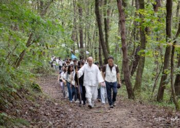 Should I Get Divorced or Not? My Mind Changes Several Times a Day