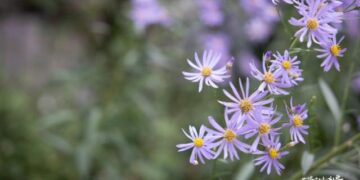 I’m an expectant father awaiting my first child. What kind of mindset do I need to be a good parent?