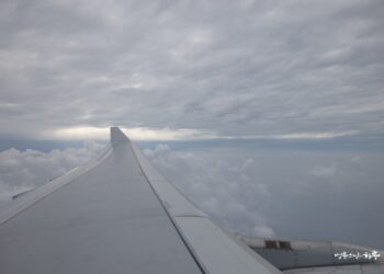 How Can I Trust People When I Keep Doubting Them?