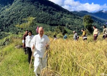 Is Human Destiny Already Predetermined?