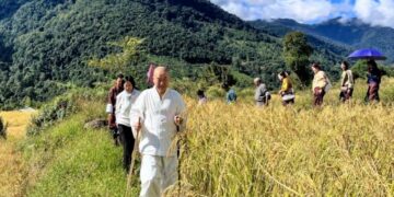 Is Human Destiny Already Predetermined?