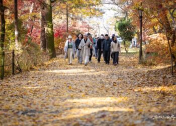 I’m Getting Married for the First Time, My Partner Is Remarrying with Two Daughters, and I’m Worried About Becoming a Stepmother