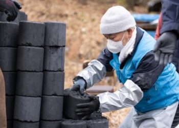 My Mother with Dementia Says She Never Hit Me. How Should I Respond?