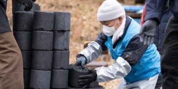 My Mother with Dementia Says She Never Hit Me. How Should I Respond?