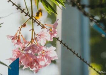 When Life Feels Like Hell, Is There Still a Reason to Keep Living?