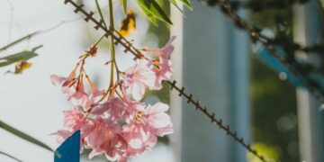 When Life Feels Like Hell, Is There Still a Reason to Keep Living?