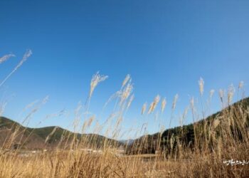 How Should I Live with a Terminally Ill Wife and Two Children?