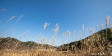 How Should I Live with a Terminally Ill Wife and Two Children?