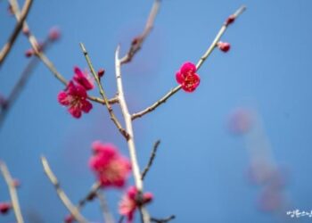 Nail Biting and Leg Shaking: Are These Habits Signs of Anxiety?